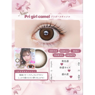 [1Day]Primore Pri Girl Camel プリモア プリガールキャメル